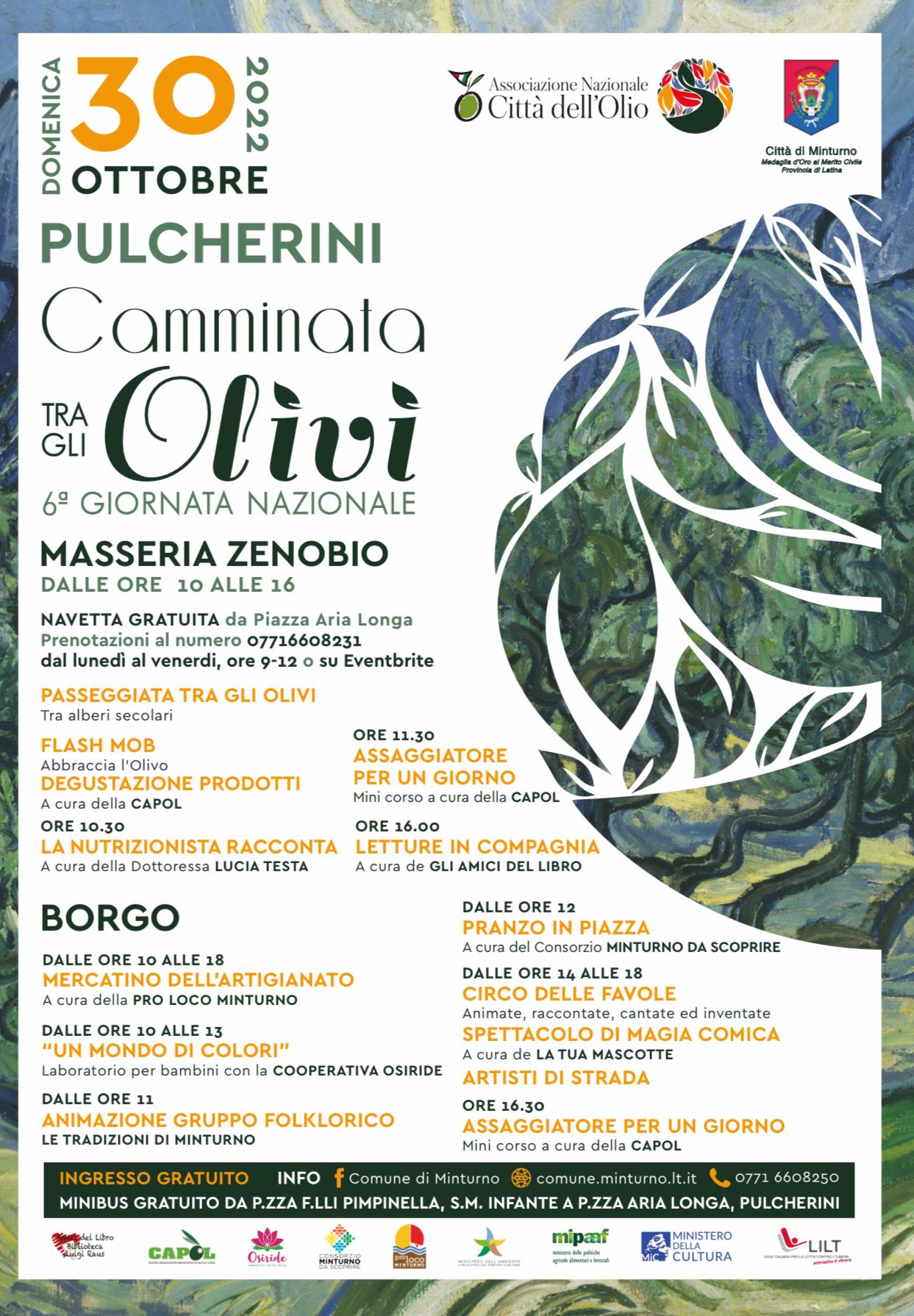 Domenica 30 ottobre la “Camminata tra gli olivi” a Pulcherini di Minturno